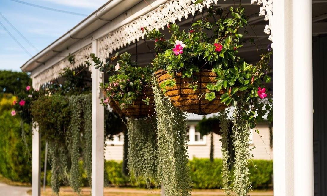 Our beautiful hanging baskets